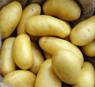 20kg Jazzy Seed Potatoes (Summer Planting) FREE DELIVERY