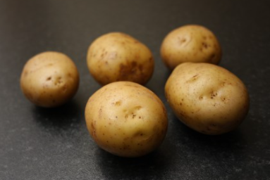 2Kg Sagitta Seed Potatoes